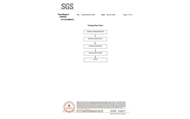 環保測試報告 SVHC CANEC25009119801