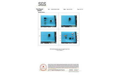 環保測試報告 SVHC CANEC25009119801